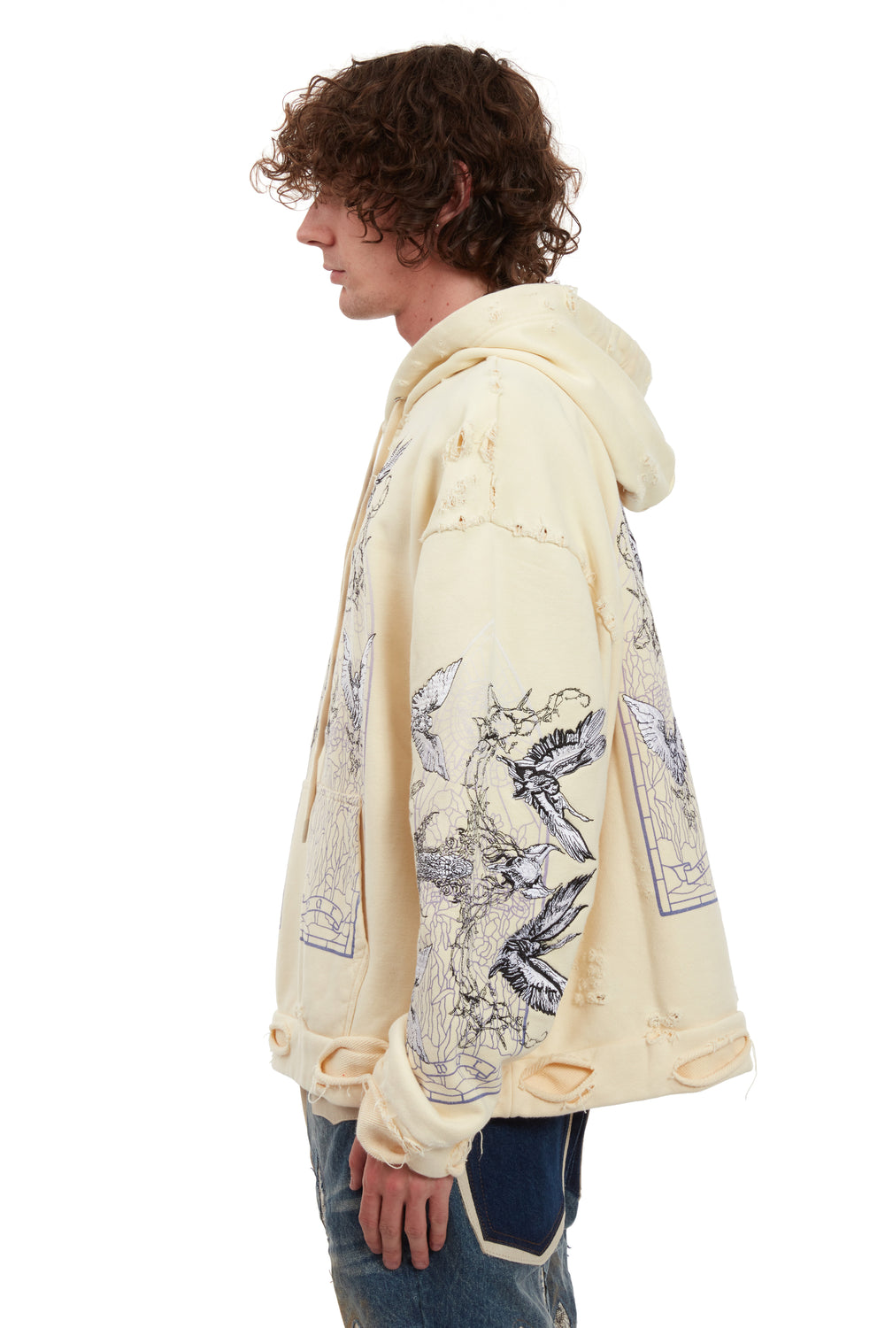 ASCENSION HOODED PULLOVER